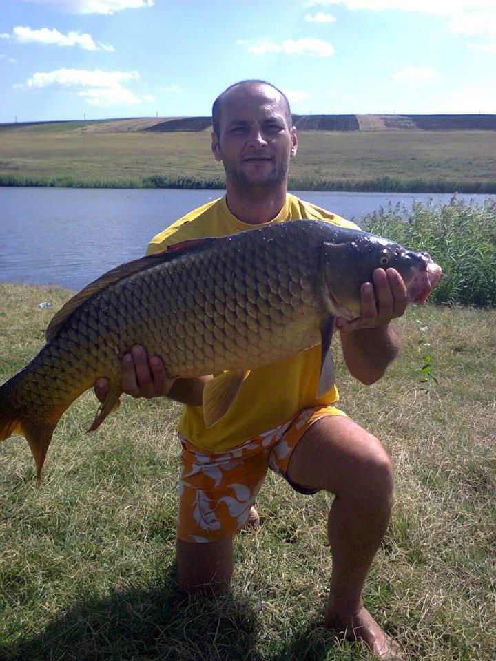 nebunie - salbatic !!